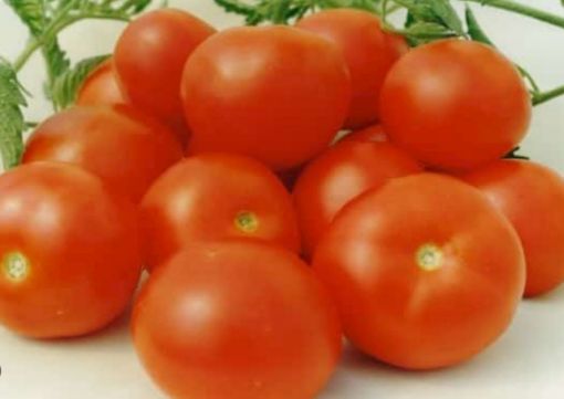 Immagine di DANIELA  Pom. Maturo Mar.