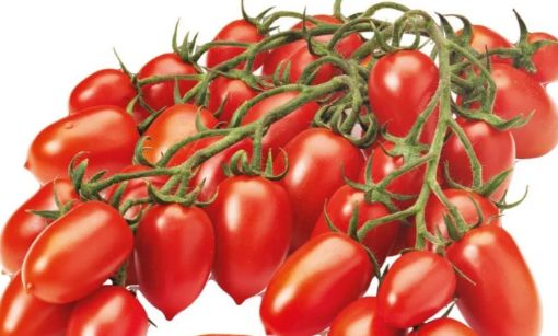 Immagine di DATTERINO  Pomodoro Maturo