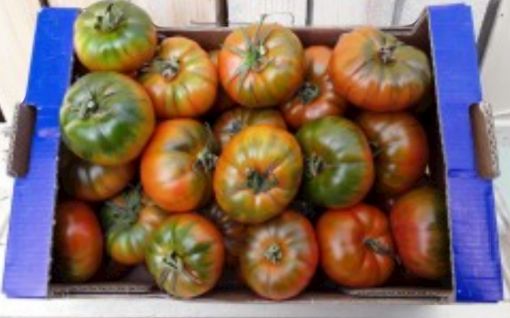 Immagine di MARINDA Pom. Ins. Cartoncini