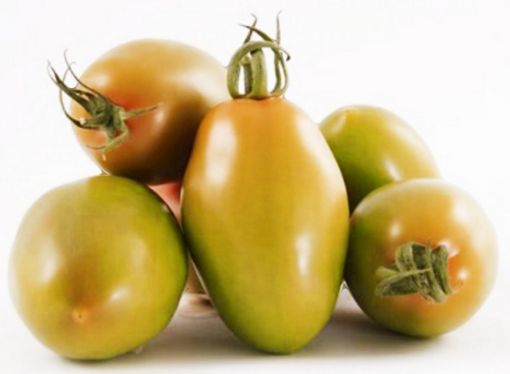 Immagine di GENKARA Verde Pom. Insalata