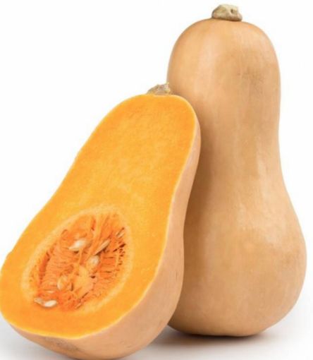 Immagine di Zucche Butternut Gialle
