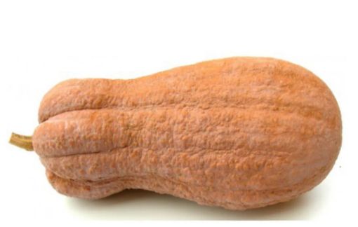 Immagine di Zucche Gialle