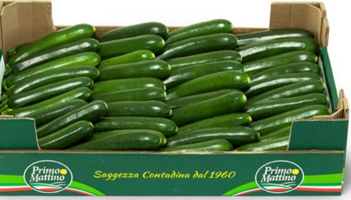 Immagine di Zucchine Scure Le Delizie