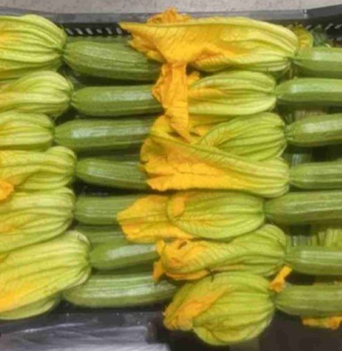 Immagine di Zucchine Fiore  in Plastica