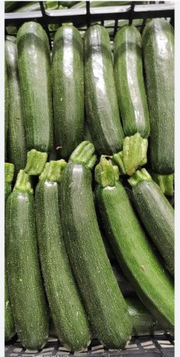 Immagine di Zucchine Scure   in Plastica