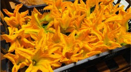 Immagine di Fiori di Zucca al collo