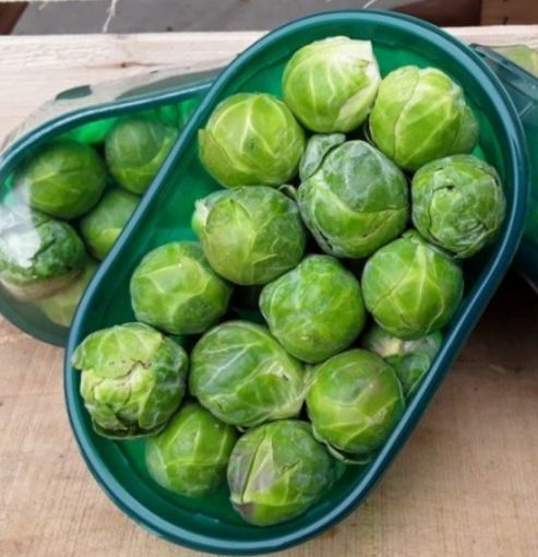 Immagine di Cavoletti Bruxelles Conf.