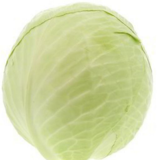 Immagine di Cavolo Cappuccio Bianco Est.