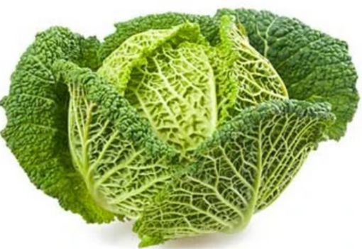 Immagine di Cavolo VERZA