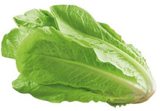 Immagine di Insalata Romana