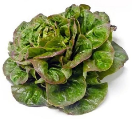 Immagine di Insalata BRIACHINA al collo