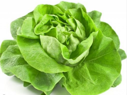 Immagine di Insalata TROCADERO