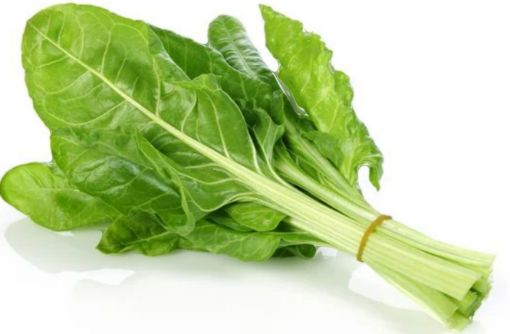 Immagine di Bietola Costa GROSSA