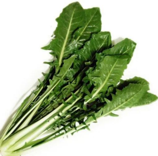 Immagine di Cicoria  LISCIA