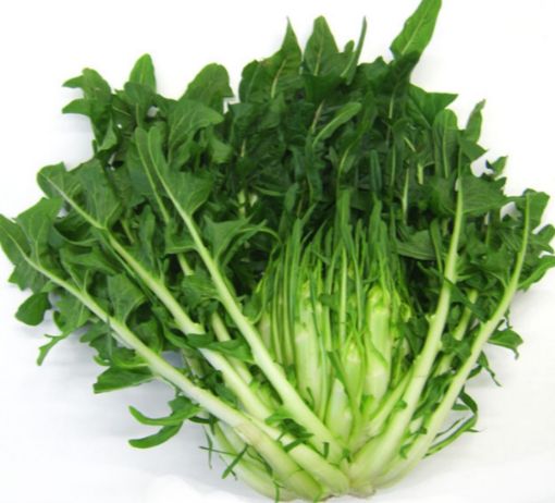 Immagine di Cicoria  Tallita