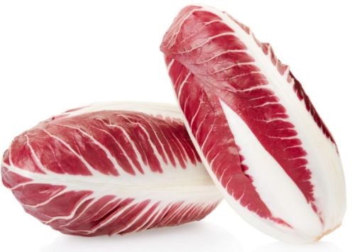 Immagine di Radicchio Trevisano PRECOCE in Plast.