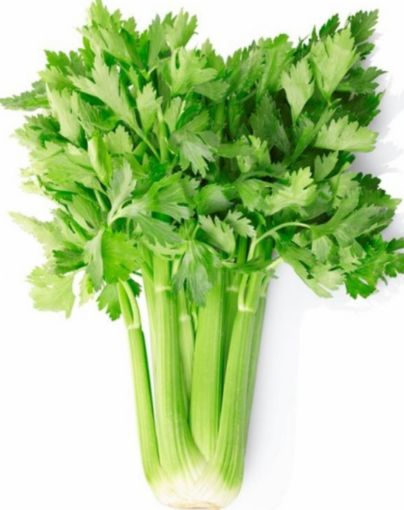 Immagine di Sedano in Padella MIS